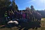 Bim at the Litter Pick